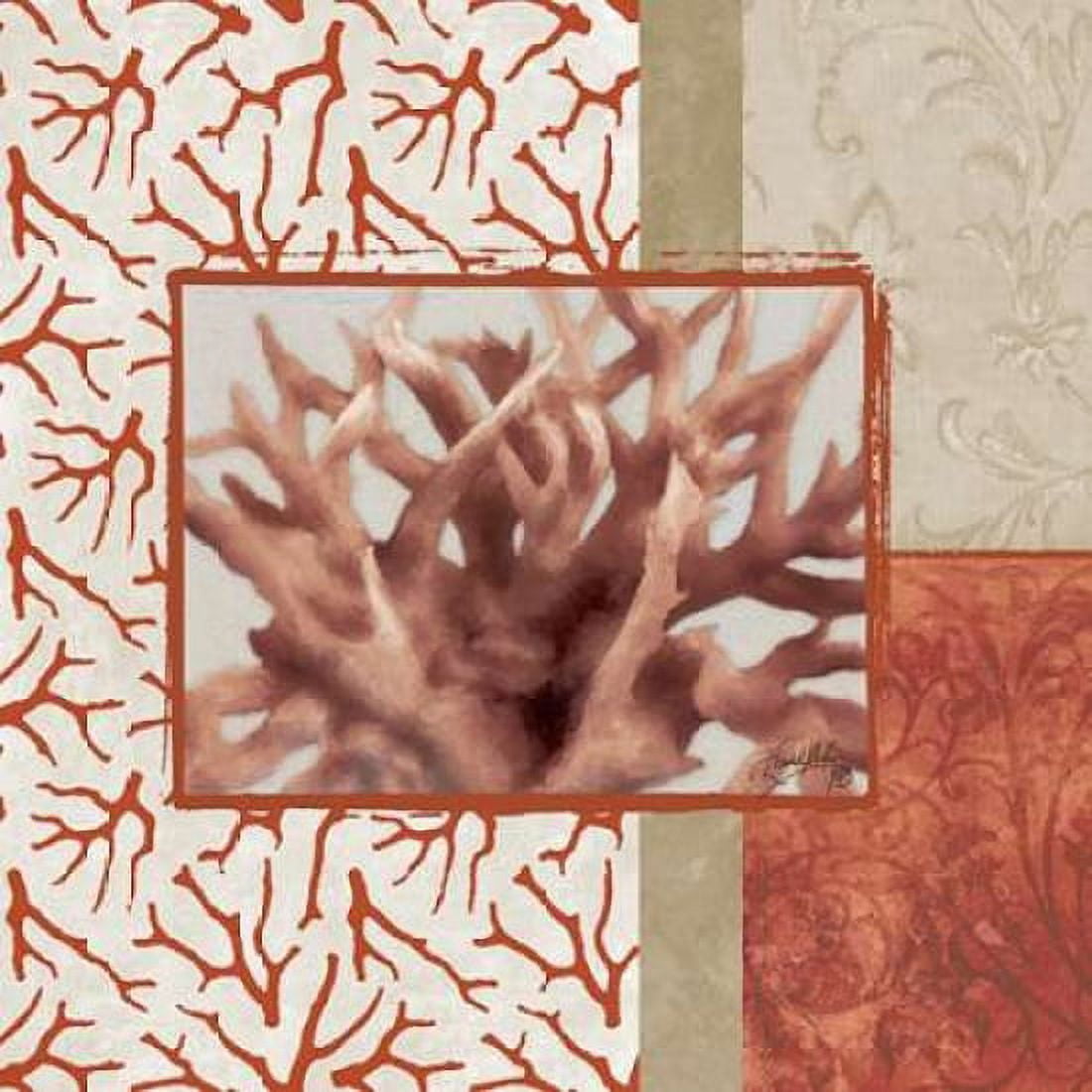 Coral Branch II Canvas Art - Elizabeth Medley (24 x 24)