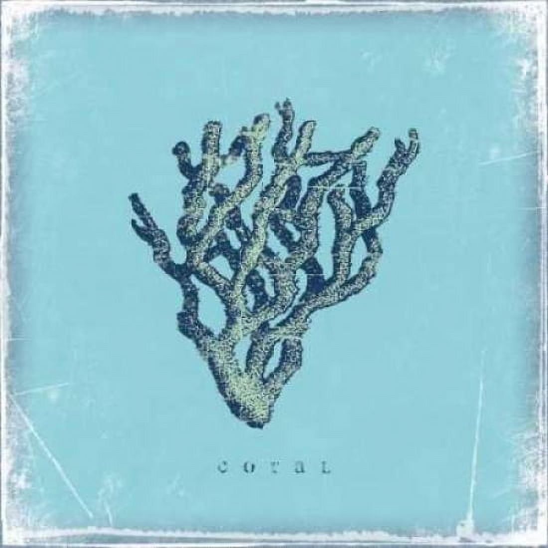 Coral Canvas Art - Stephanie Marrott (24 x 24)