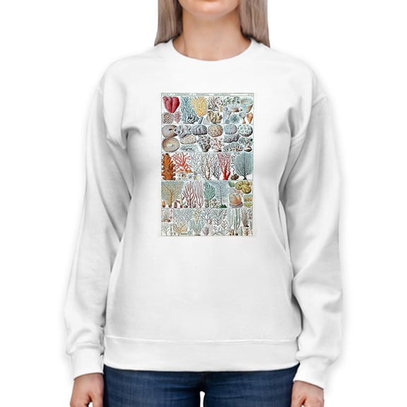 Coral Charts Sweatshirt Women -Vision Studio Designs, Female 4X-Large