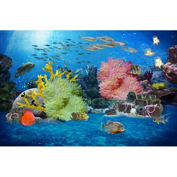 Coral Fish Canvas Art Colorful Tropical Fish Picture Wall Art Blue Sea Framed Painting Wall Decor For Home Office Bedroom Reeady to Hang