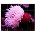 thumbnail image 1 of Coral Fish Underwater Ceramic Tile Mural Kitchen Backsplash Bathroom Shower, 403, 1 of 3