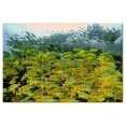 thumbnail image 1 of Coral Fish Underwater Ceramic Tile Mural Kitchen Backsplash Bathroom Shower, 403, 1 of 3