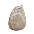thumbnail image 1 of Coral Fossilized with Tiny Critters Sterling Silver Pendant | 2 1/4" Long |, 1 of 9