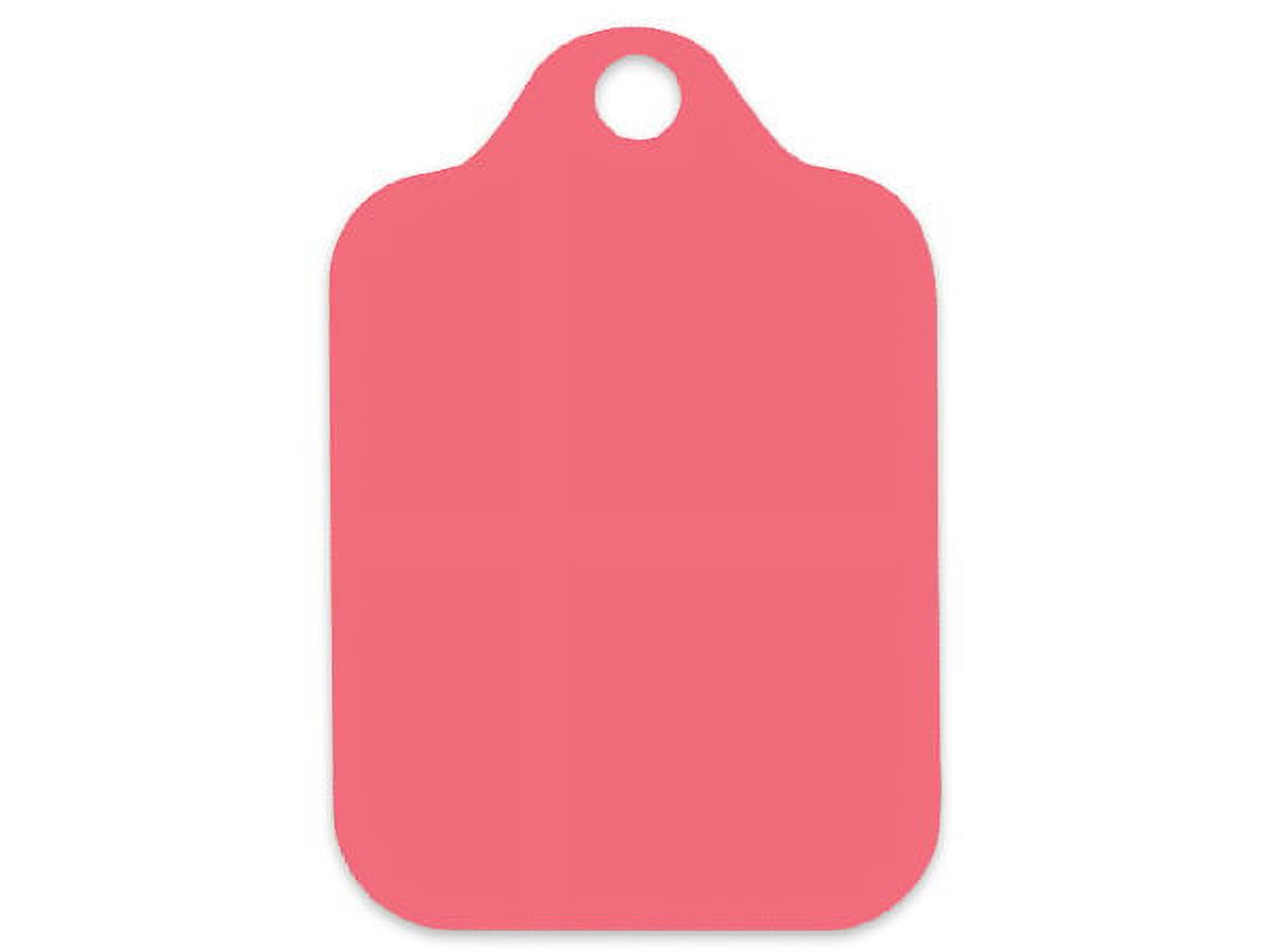 Coral Gift Wrap / Gift Bag Tags -25pack
