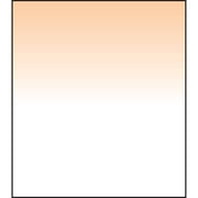 Lee Filters Coral Grad 2 Blender Graduated Coral Filter 4x6 Resin