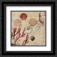 thumbnail image 1 of Coral II 2x Matted 20x20 Black Ornate Framed Art Print by Wilson, Aimee, 1 of 2