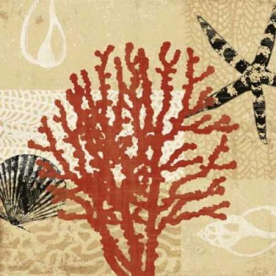 Coral Impressions III Canvas Art - Tandi Venter (24 x 24)