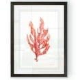 thumbnail image 1 of Coral Kelp I - Barnwood Framed - 18 x 24 - Black, 1 of 4