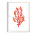 thumbnail image 1 of Wexford Home Coral Kelp II-Framed - White - 22X30, 1 of 4