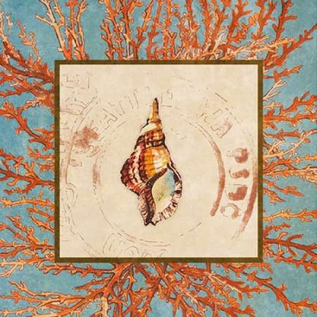 Coral Medley Shell IV Canvas Art - Lanie Loreth (24 x 24)
