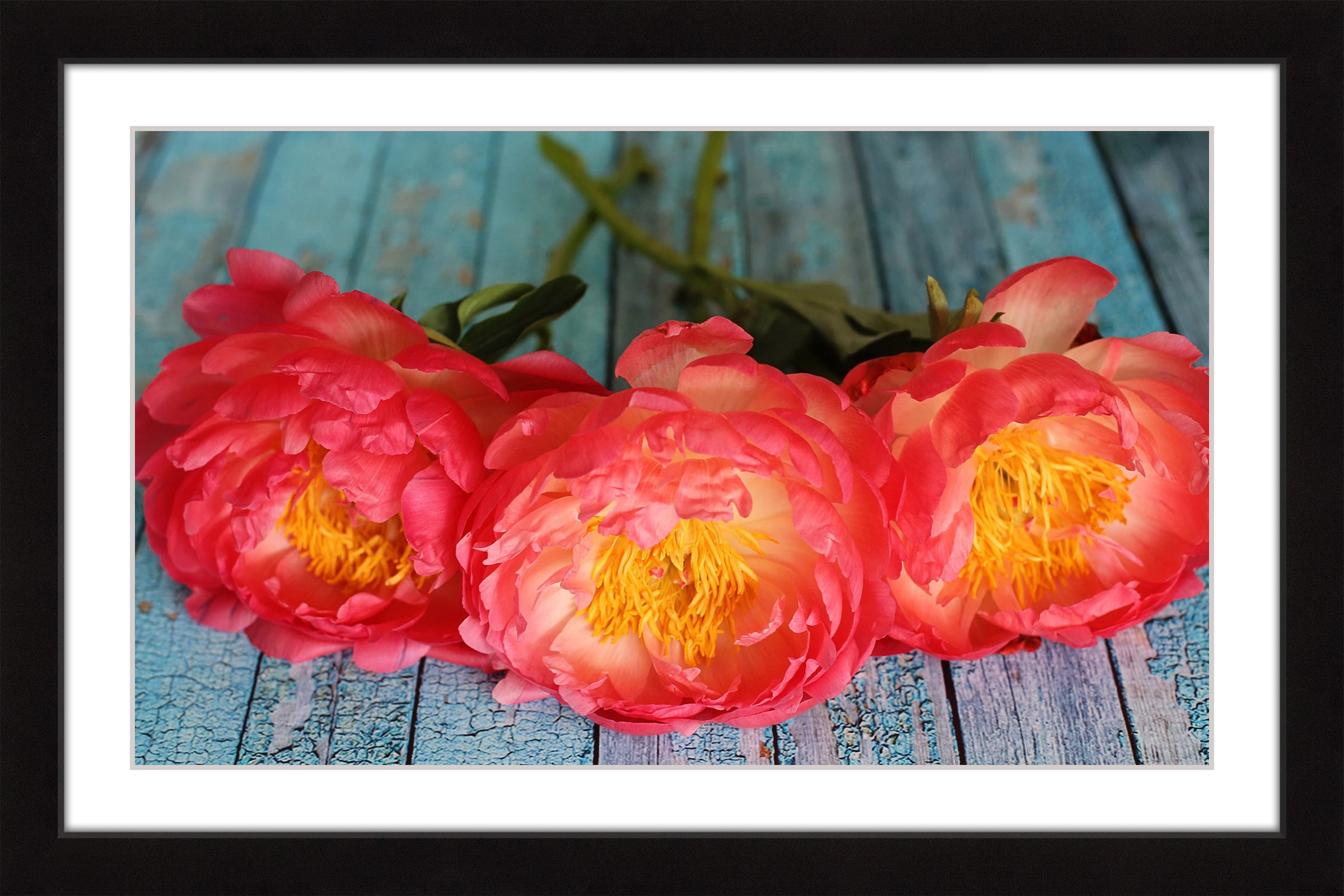 Coral Peonies Floral Canvas Print in Multi-Color