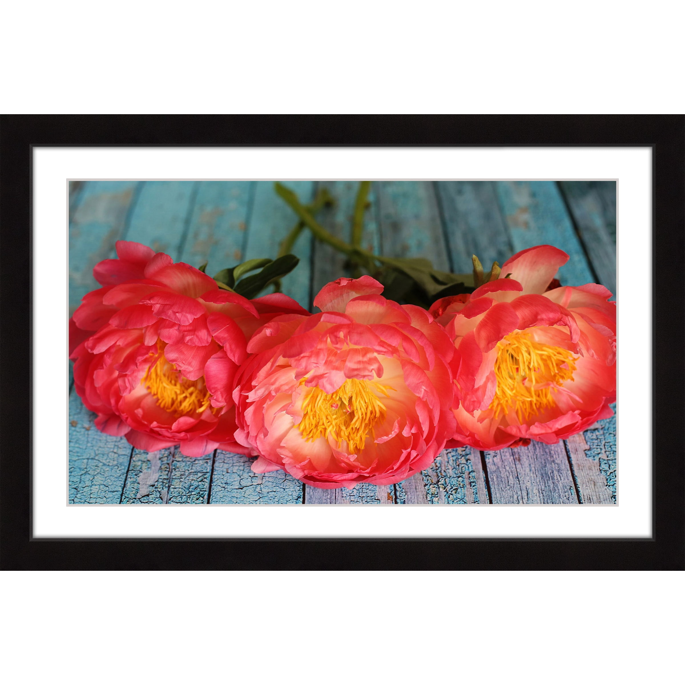 "Coral Peonies" Framed Painting Print