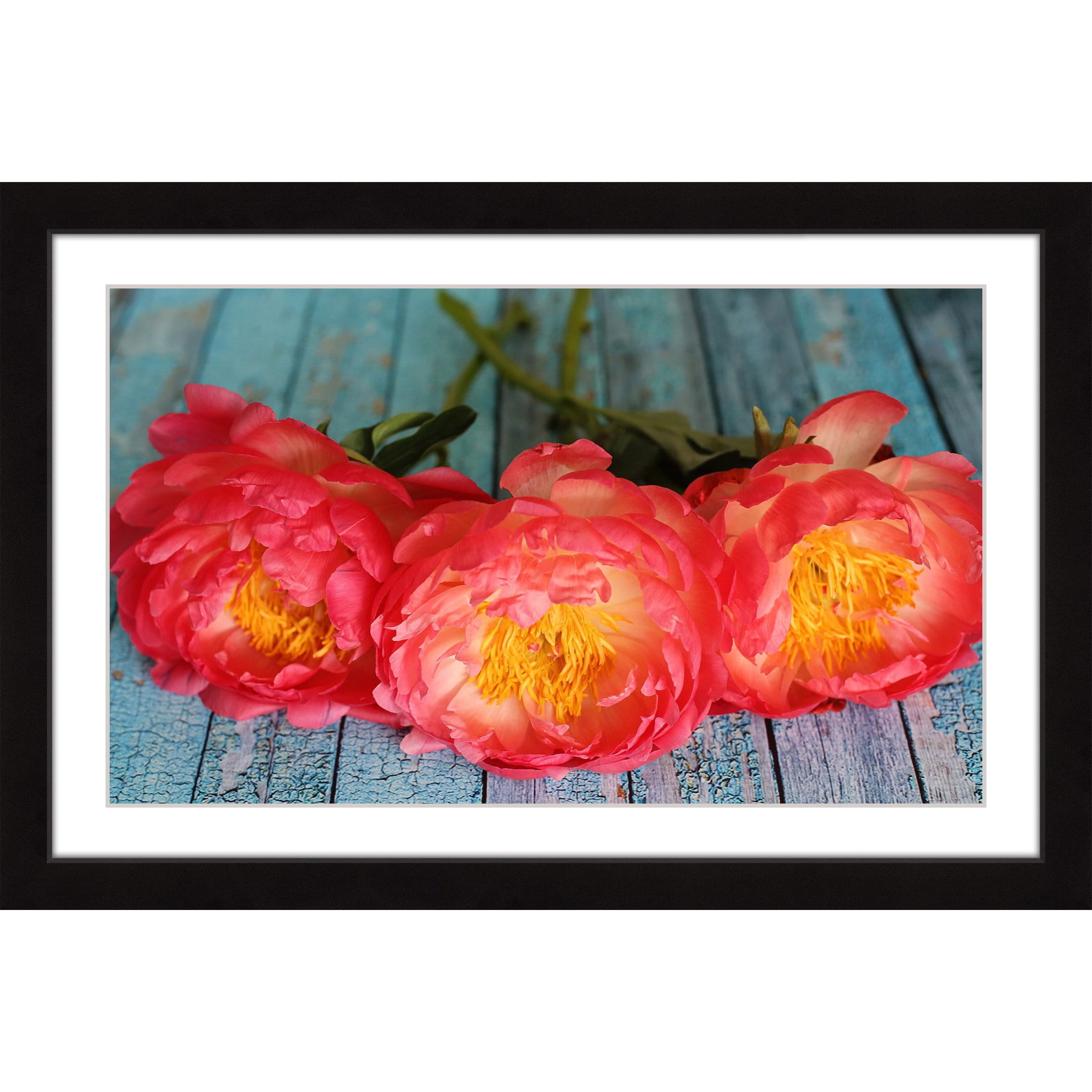 "Coral Peonies" Framed Painting Print