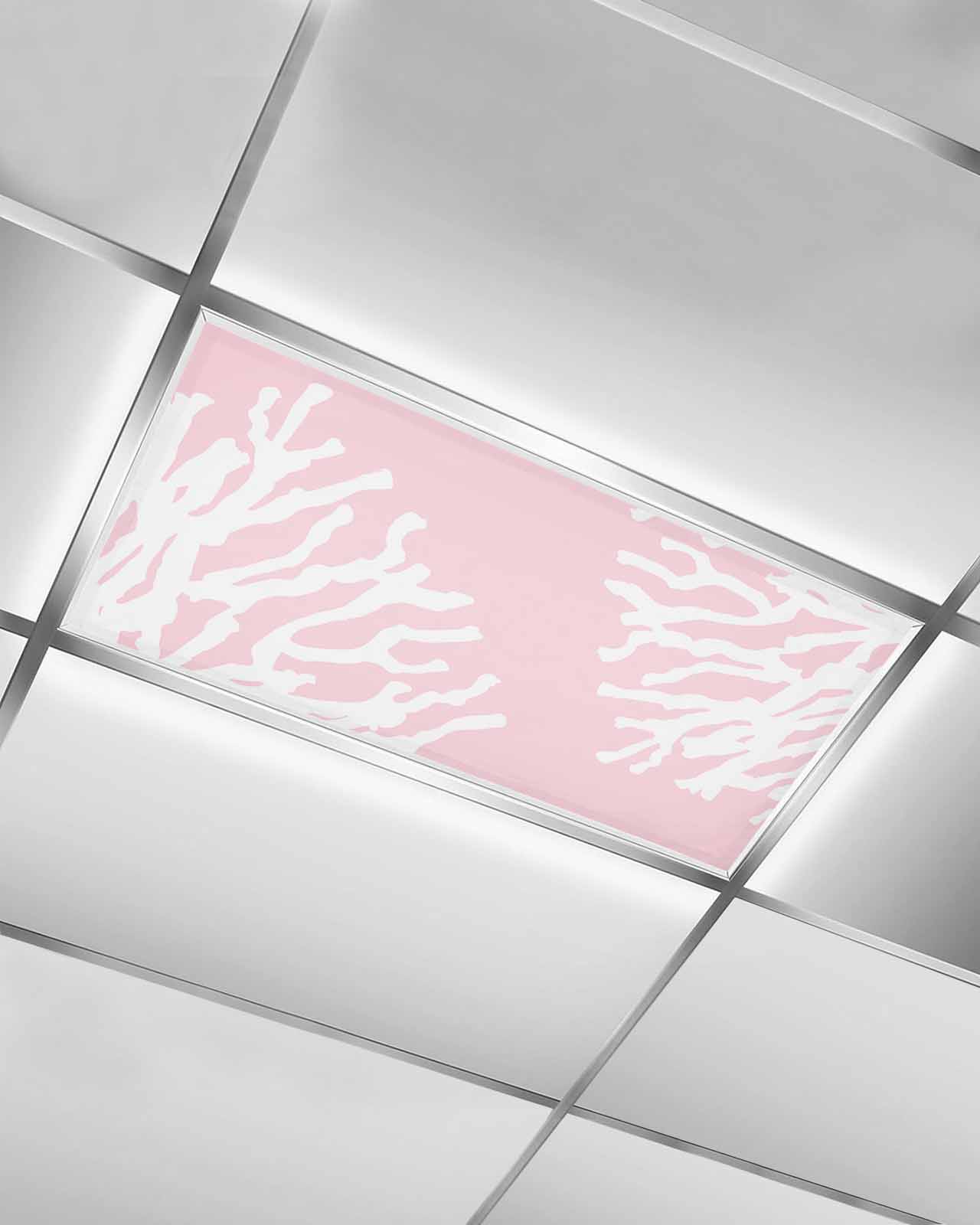 Gallery image with a fresh perspective