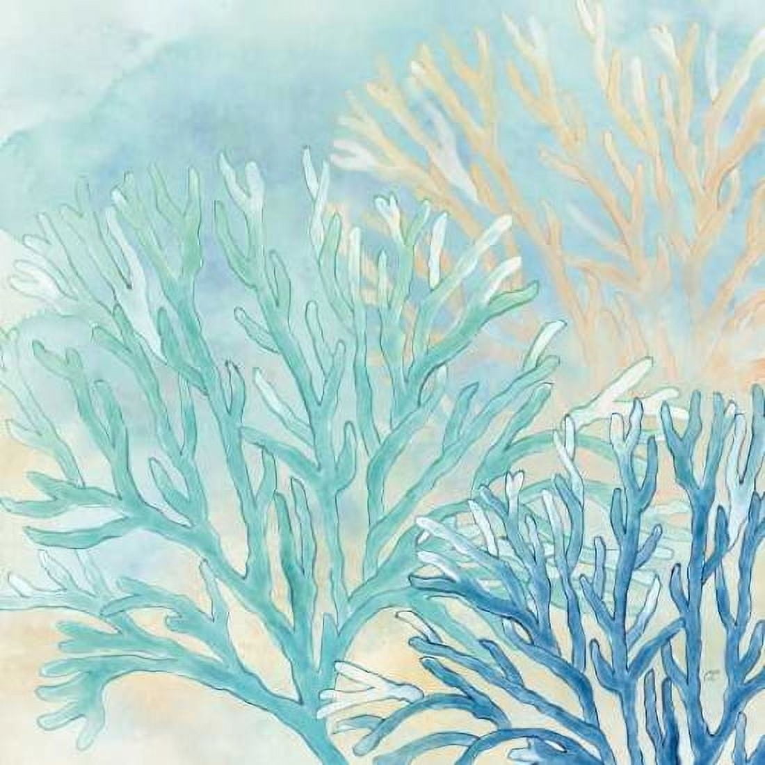Coral Reef II Canvas Art - Cynthia Coulter (24 x 24)
