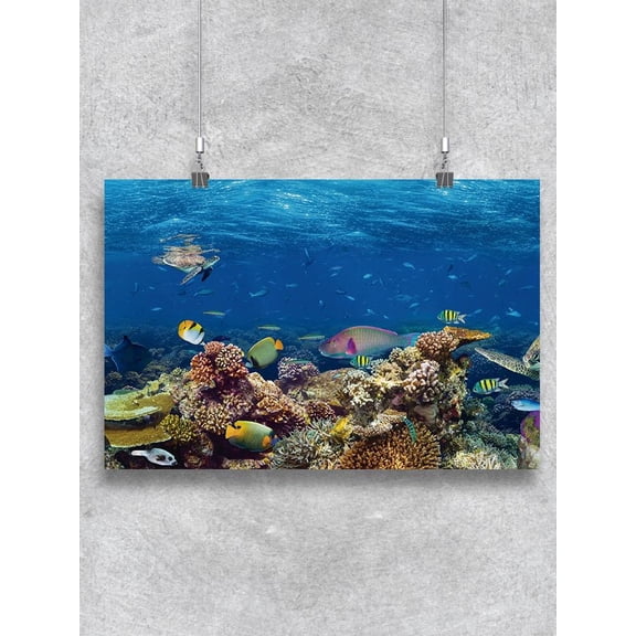 Coral Reef Poster -Image by Shutterstock