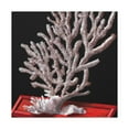 thumbnail image 1 of Coral Reef Reflection - Canvas, 1 of 25