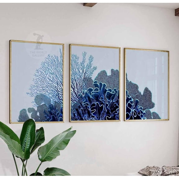 Coral Reef Wall Art Prints Blue Ocean Coastal Nautical Sea Life Home Decor Version 2 Set 3 Stretched Canvas 16x24