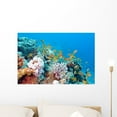 thumbnail image 1 of Coral Reef with Shoal Wall Mural Decal Sticker, Wallmonkeys Peel & Stick Vinyl Graphic (24 in W x 16 in H), 1 of 4