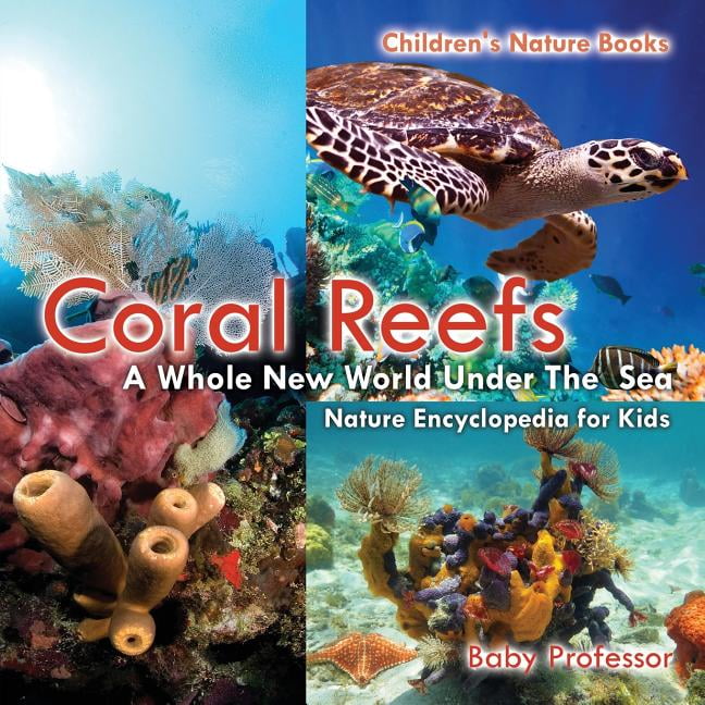 Coral Reefs : A Whole New World Under The Sea - Nature Encyclopedia for ...