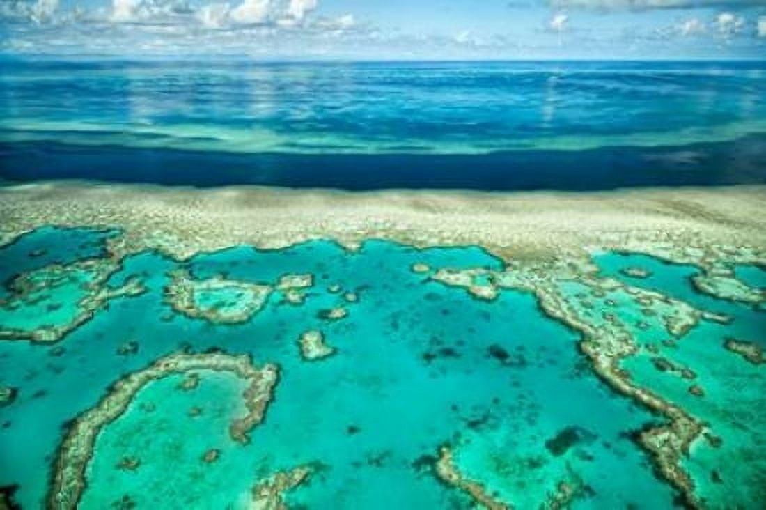 Coral River II Canvas Art - Larry Malvin (24 x 36)