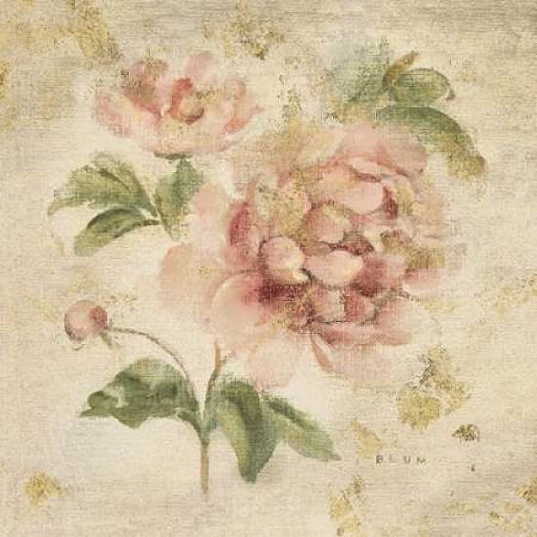 Coral Rose on Antique Linen Light Gold Canvas Art - Cheri Blum (24 x 24)
