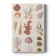 thumbnail image 1 of Coral & Shell Collage II Premium Gallery Wrapped Canvas - Ready to Hang, 1 of 9