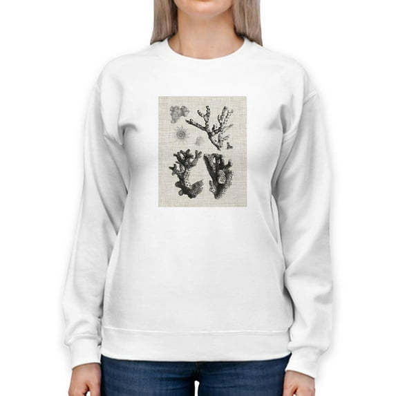 Coral Specimen I Sweatshirt Women -Vision Studio Designs, Female 5X-Large