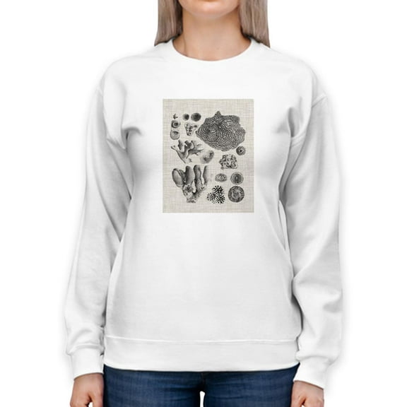 Coral Specimen Ii Sweatshirt Women -Vision Studio Designs, Female Small