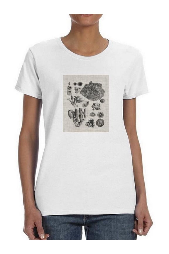 Coral Specimen Ii T-Shirt Women -Vision Studio Designs, Female 4X-Large