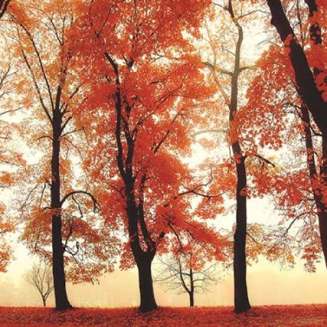 Coral Woods Canvas Art - Irene Weisz (24 x 24)