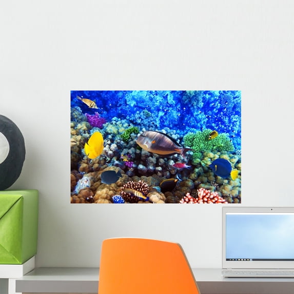Coral and Fish Red Wall Mural by Wallmonkeys Peel and Stick Graphic (18 in W x 12 in H) WM223466