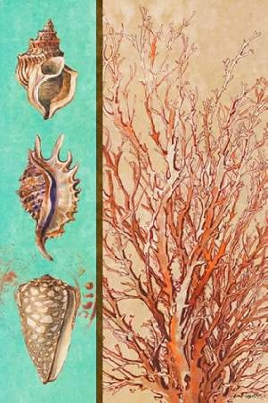 Coral and Sea Shells I Canvas Art - Lanie Loreth (12 x 18)