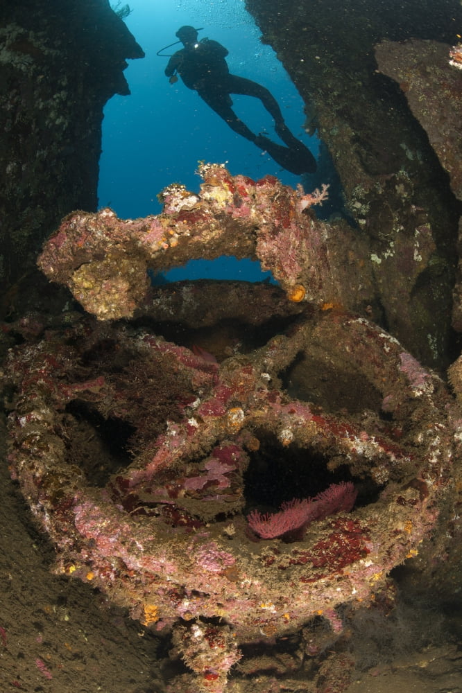Coral encrusted wreckage on the Liberty Wreck Tulamben Bali Indonesia Canvas Art - Steve JonesStocktrek Images (12 x 18)
