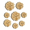 thumbnail image 1 of Coral from the Ocean Reef Wood Buttons for Crochet Knitting Sewing DIY Craft - 1.00 Inch Medium (7pcs), 1 of 7