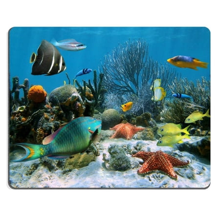 Coral garden with starfish and colorful tropical fish Caribbean sea Mouse pads Gaming Mouse Pad 9.84x7.87 inches