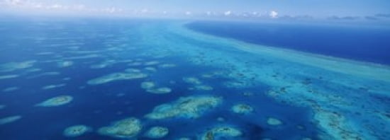 Coral reef in the sea Belize Barrier Reef Ambergris Caye Caribbean Sea Belize Canvas Art - Panoramic Images (36 x 13)