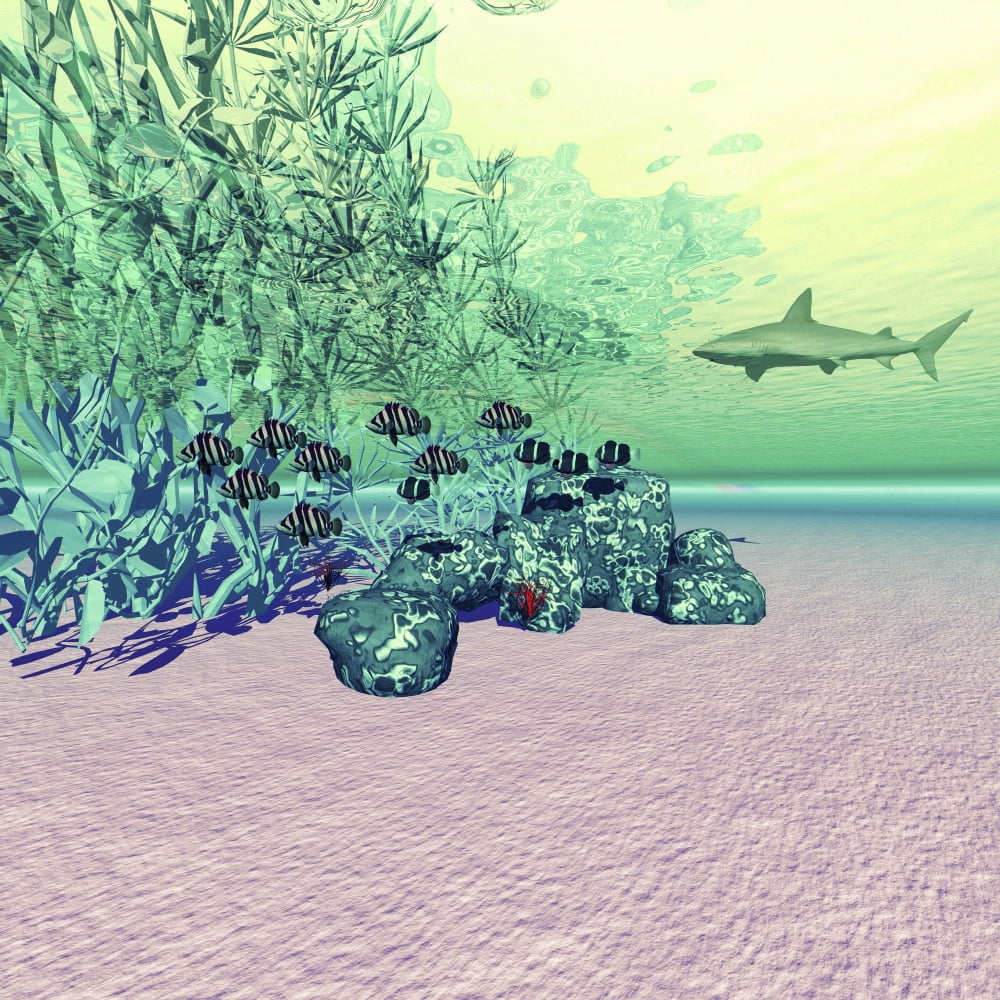 Coral reef life in the deep ocean Canvas Art - Corey FordStocktrek Images (28 x 28)