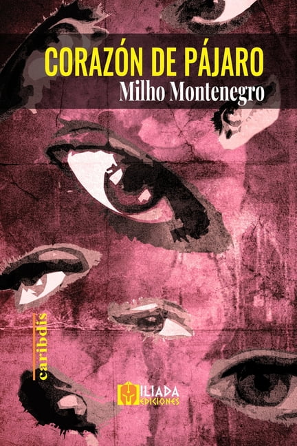 Corazón de pájaro (Paperback)
