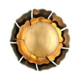 thumbnail image 1 of Corbett Lighting - One Light Wall Sconce - Magic Garden - One Light Wall Sconce, 1 of 2