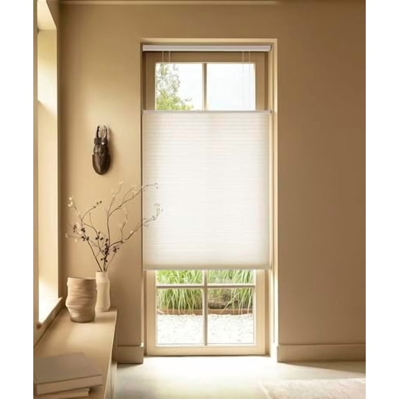Cordless Cellular Blinds, Top Down Bottom Up Shades, Honeycomb Blinds for Indoor Windows, 9/16" Cell, Light Filtering Shades, Sugar Swizzle 54"(W) x48(H)