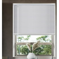 Cordless Light Filtering Window Blinds, Horizontal Vinyl Mini Blinds/Shades, 1" Slats, Easy Install