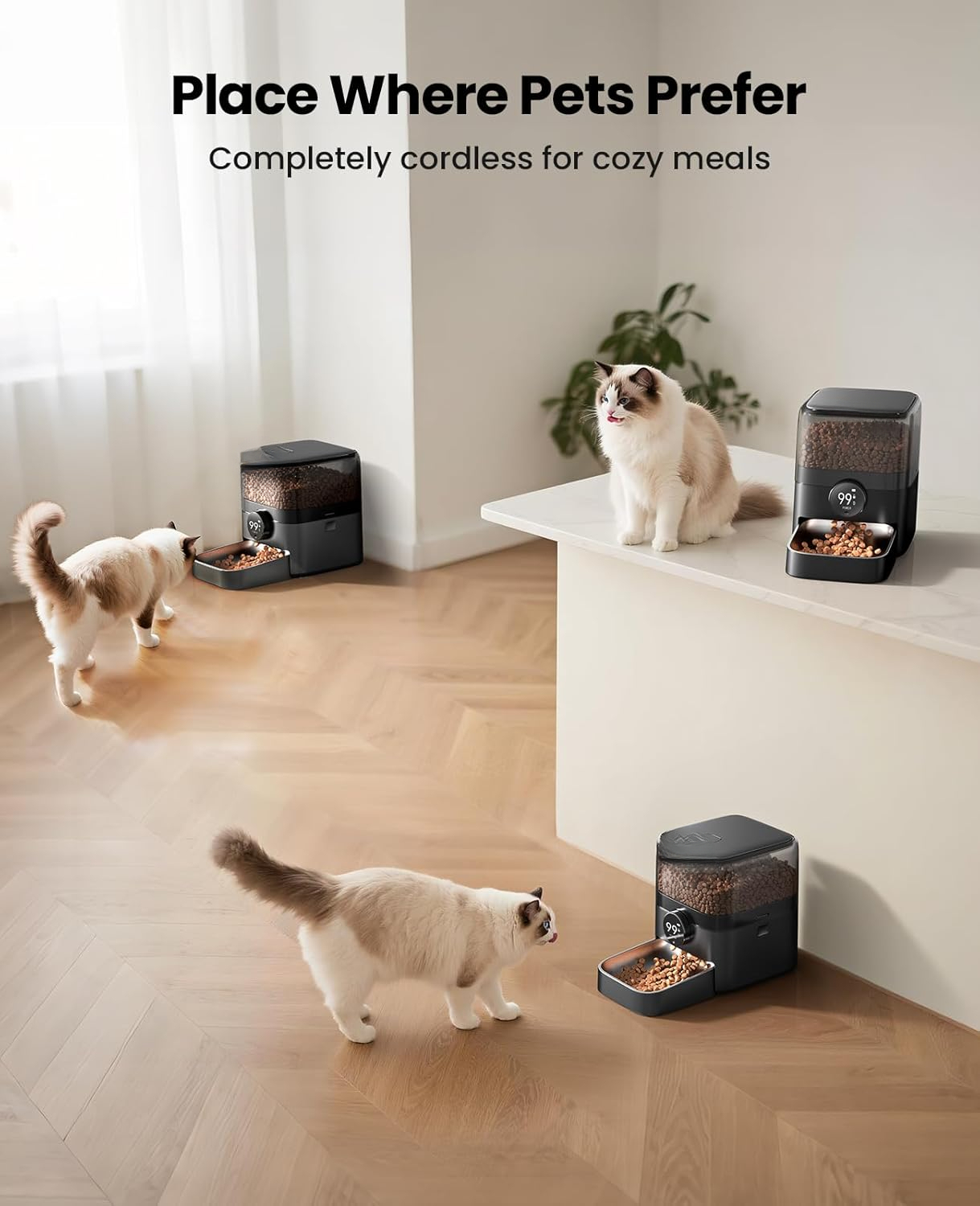 Cordless WiFi Automatic Cat Feeder, 3L/12 Cup Rechargeable Pet Food Dispenser with 100-Day Battery, Smart App Control, Timed Feeding for Cats & Small Dogs (Black)