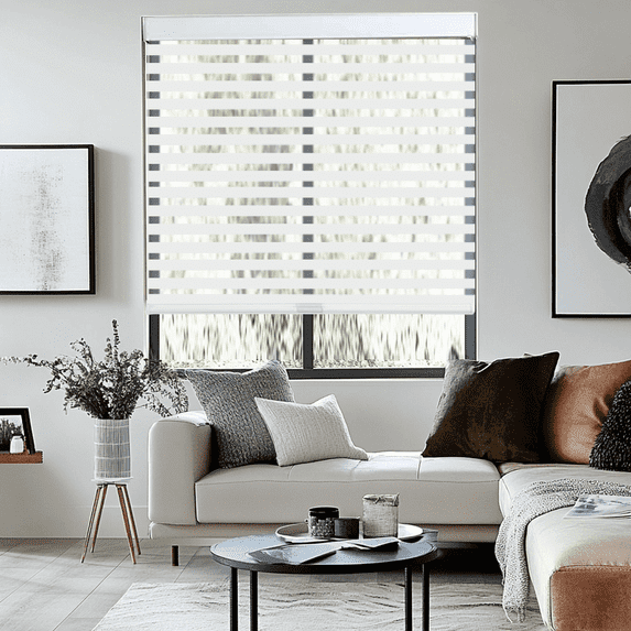 Cordless Zebra Blinds by AOSKY – Light Control, Privacy Made Simple & Safe!Bring Comfort and Style to Your Home with AOSKY Zebra Blinds.25" W x 72" H, White
