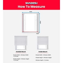 Cordless Zebra Blinds – Light Filtering Dual-Layer Window Shades for Privacy (Cream Color) (Maximum Height 72") (Width 39.5")