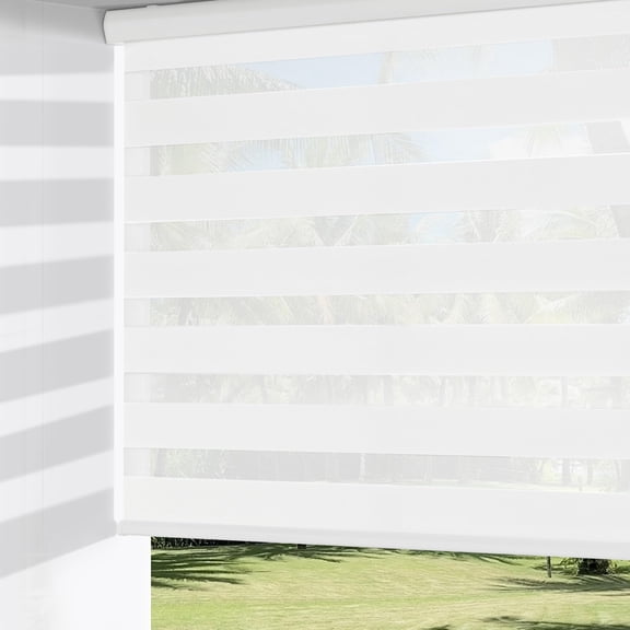 Cordless Zebra Blinds for Windows, Dual Layer Free-Stop Light Filtering Window Roller Shades, Pull Down Privacy Zebra Shades for Home, Office, Bedroom, Door (20" W x 72" H, White)