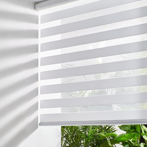Cordless Zebra Blinds for Windows Free-Stop Roller Windows Shades (24" W X 72" H, White) Dual Layer Light Control for Day and Night, Light Filtering Sheer Shades for Home, Easy to Install