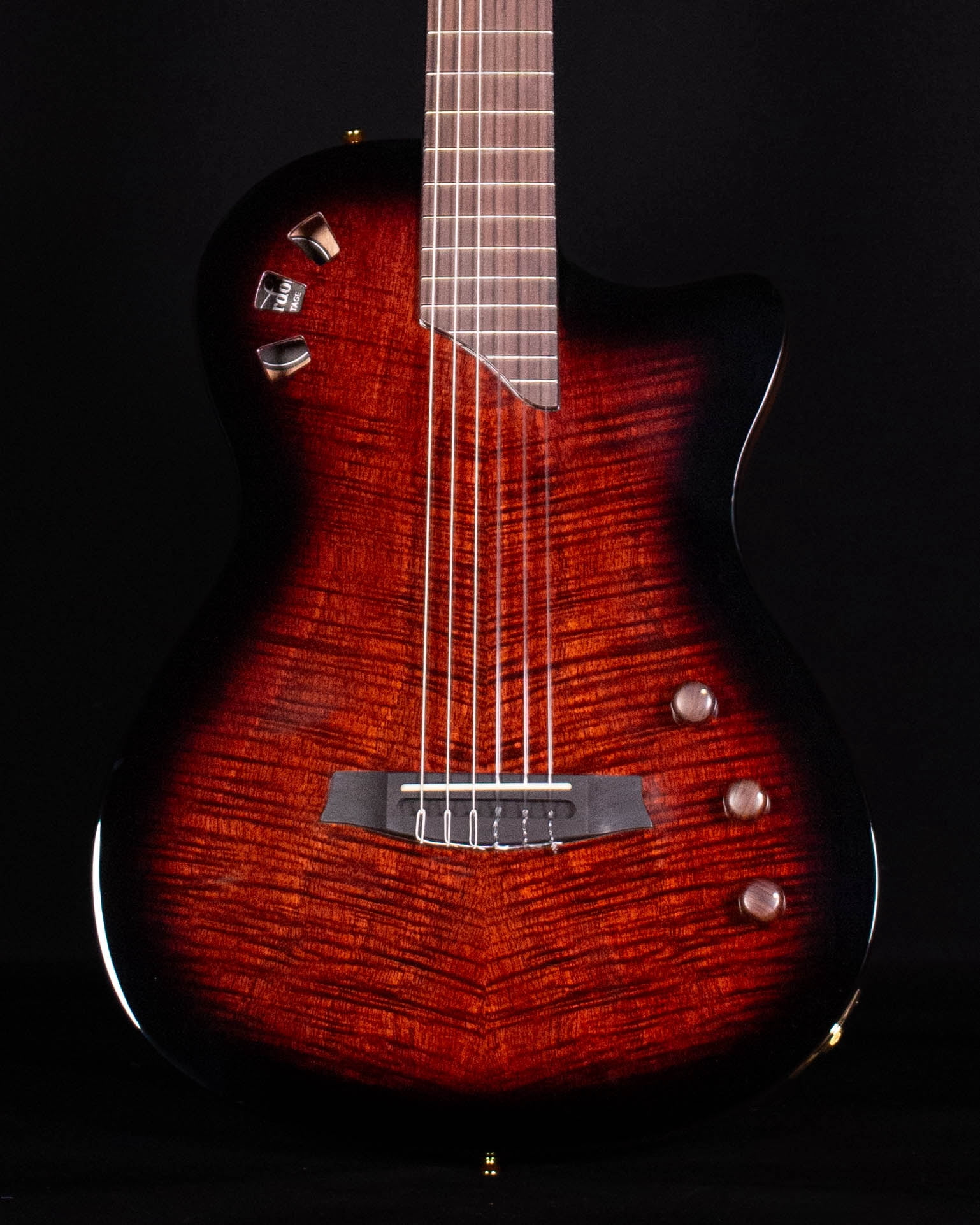 Cordoba Fusion Crossover Nylon Stage Guitar, Edgeburst