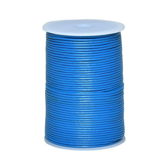 Cords Essentials Round Genuine Leather String Cord, Rope for Jewelry Making, Necklaces, Bracelets, Kumihimo Braiding, Wraps, Crafts and Hobby Projects (BLUE, 2 MM)
