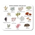 thumbnail image 1 of Cordyceps Chaga Collection of Medicinal Mushrooms Lichens and Seaweeds Mousepad Mouse Pad Mouse Mat 9x10 inch, 1 of 3